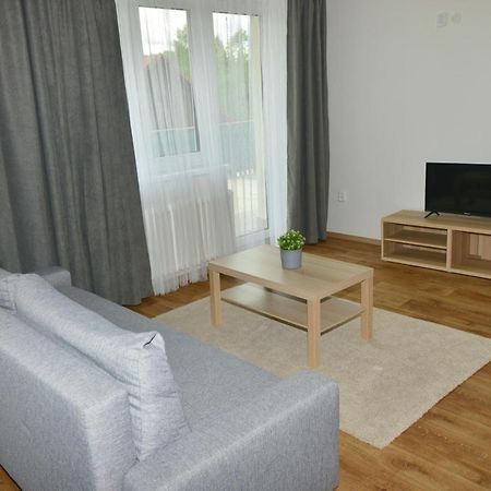 Apartmany U Peslu Железна Руда Екстер'єр фото