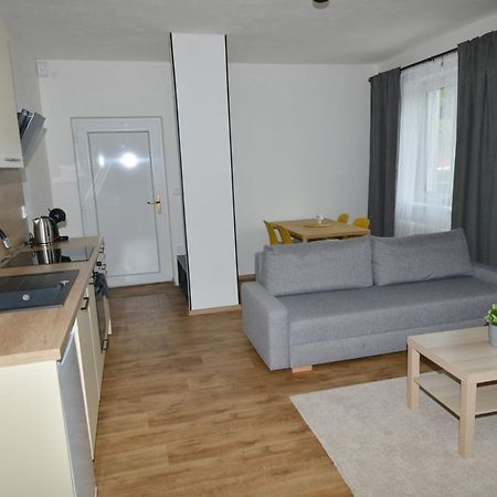 Apartmany U Peslu Железна Руда Екстер'єр фото