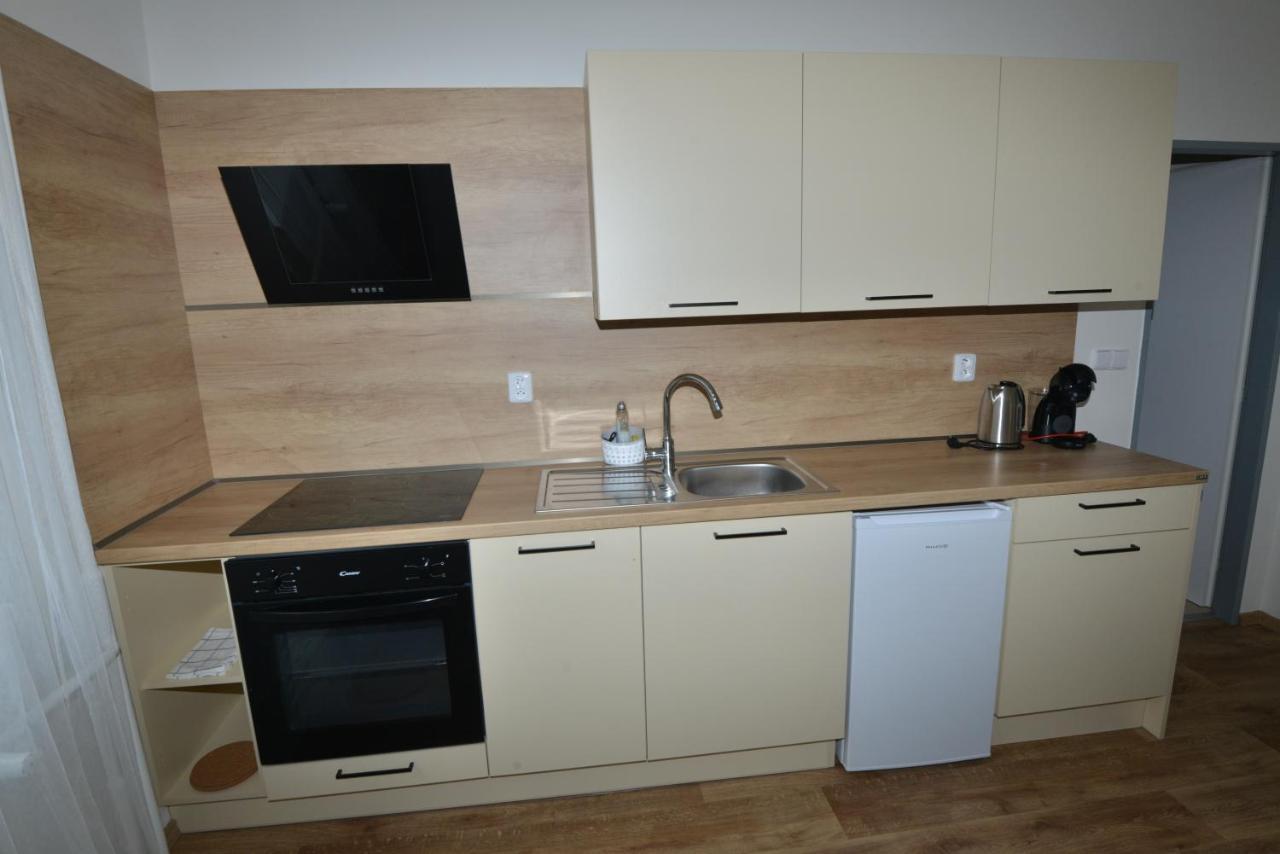 Apartmany U Peslu Железна Руда Екстер'єр фото