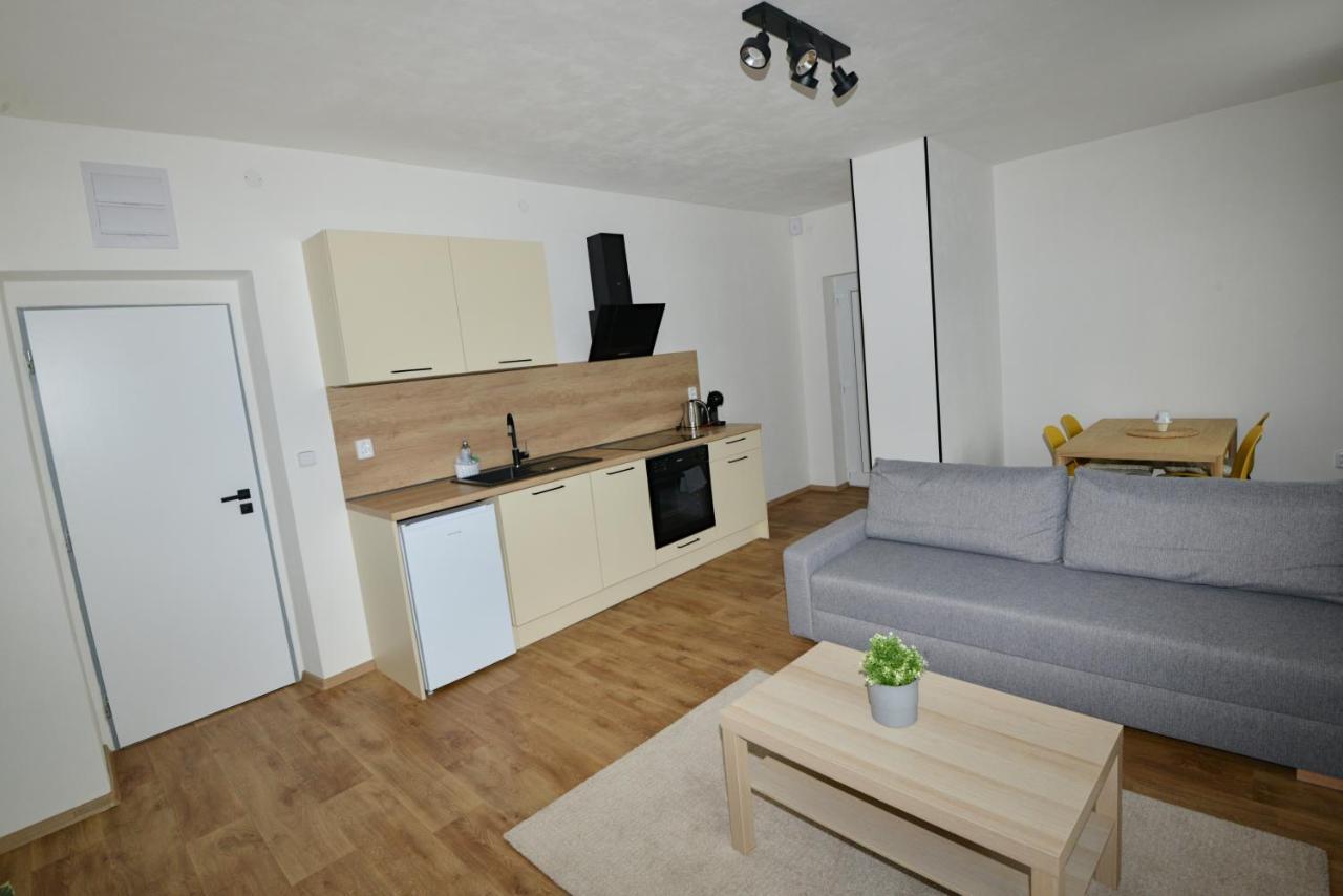 Apartmany U Peslu Железна Руда Екстер'єр фото