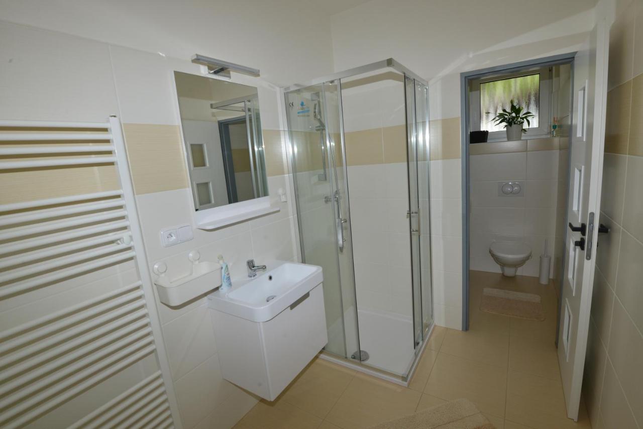 Apartmany U Peslu Железна Руда Екстер'єр фото